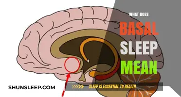 Basal Sleep: Understanding the Basics of Sleep Science
