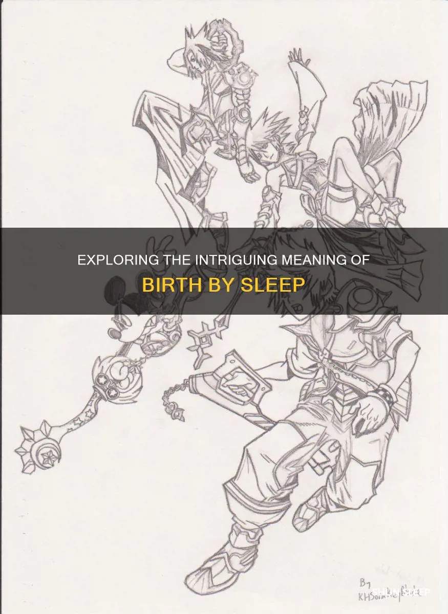 what does birth by sleep mean