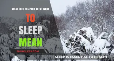 Why Blizzard Agent Suddenly Went to Sleep