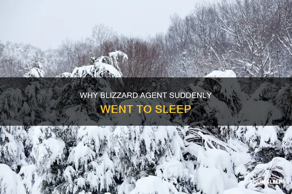 what does blizzard agent went to sleep mean