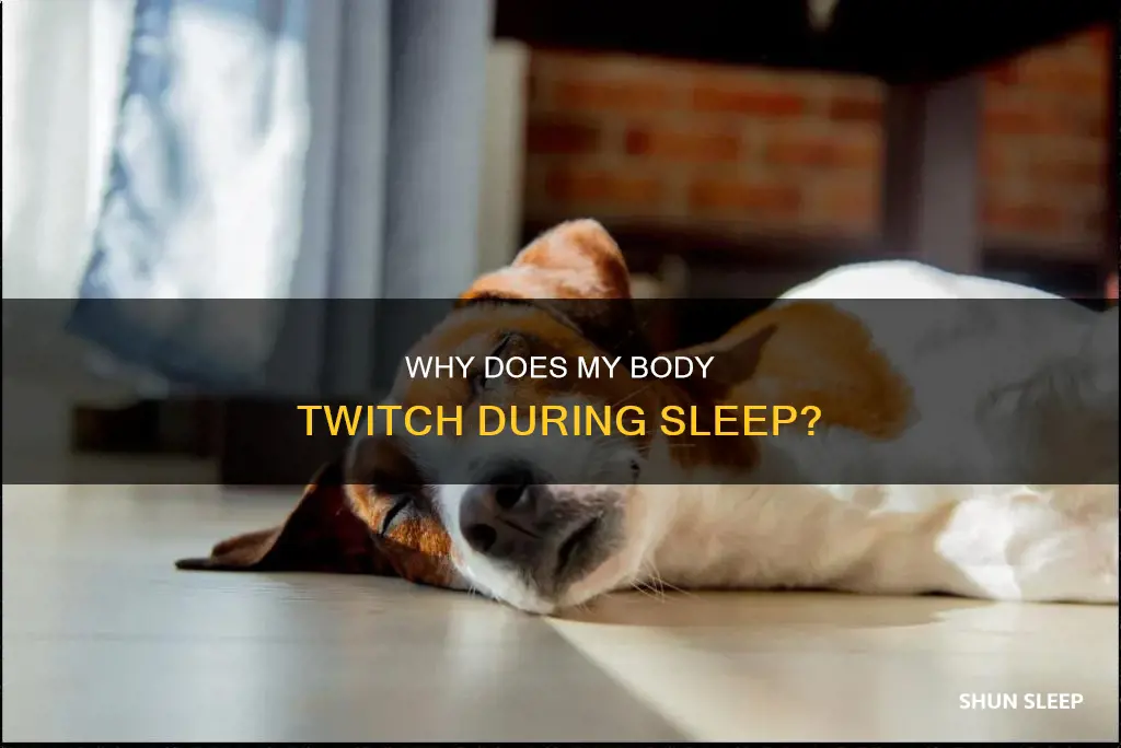 what does body twitching during sleep mean