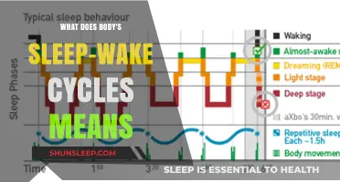 Understanding Sleep-Wake Cycles: Body's Natural Rhythm