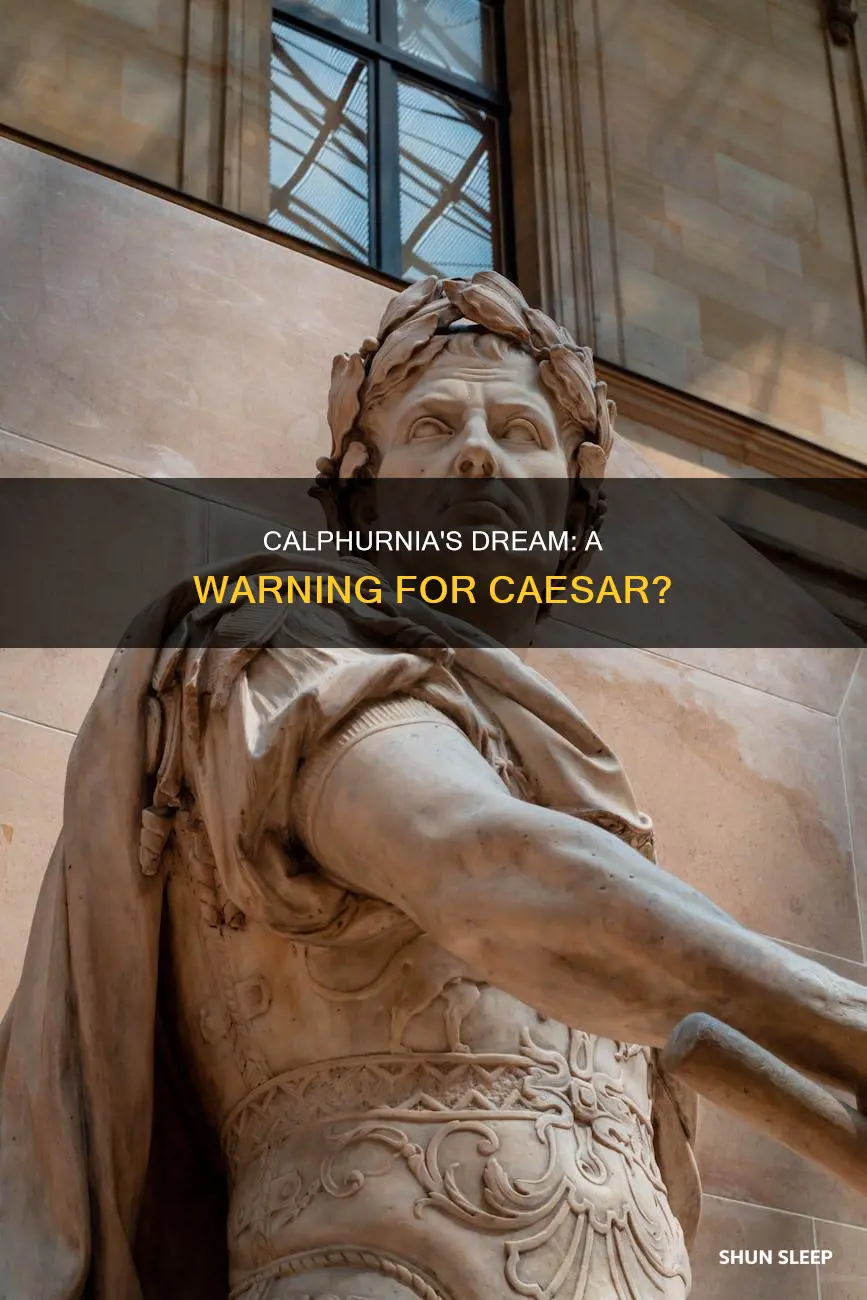 what does calphurnia say about what happened in her sleep