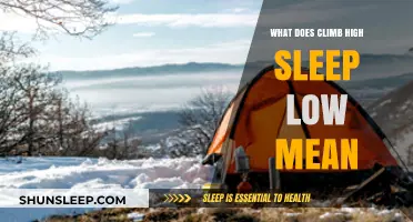 High-Altitude Adventures: Climbing High, Sleeping Low