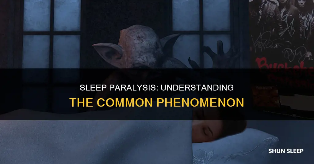 what does common sleep paralysis mean
