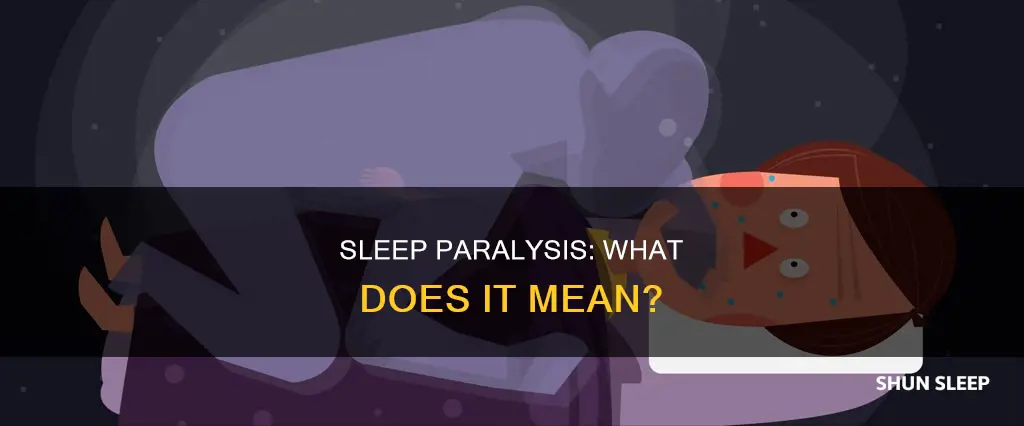 what does constant sleep paralysis mean