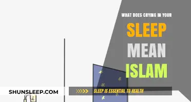 Crying in Sleep: Islamic Interpretation of Dreams