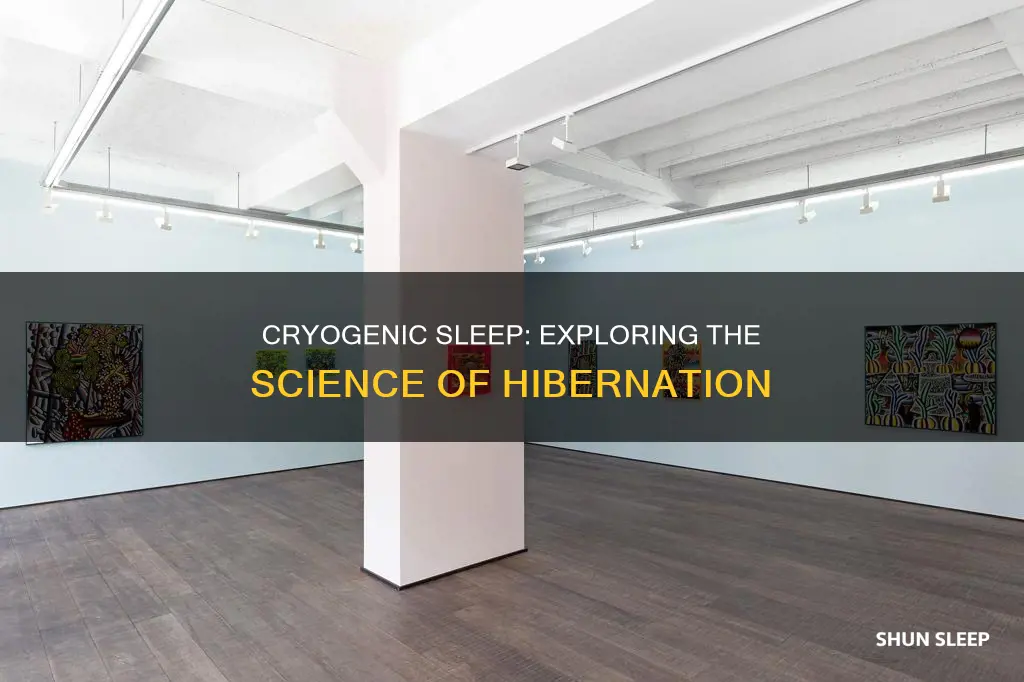 what does cryogenic sleep mean