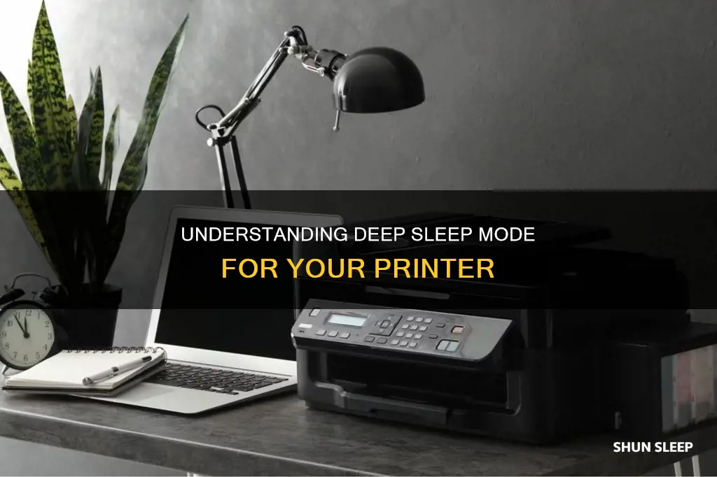 what does deep sleep mean on printer