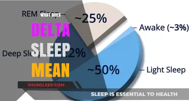 Understanding Delta Sleep: The Deep Sleep Stage