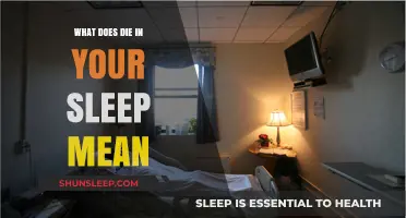 How Do You Die in Your Sleep?