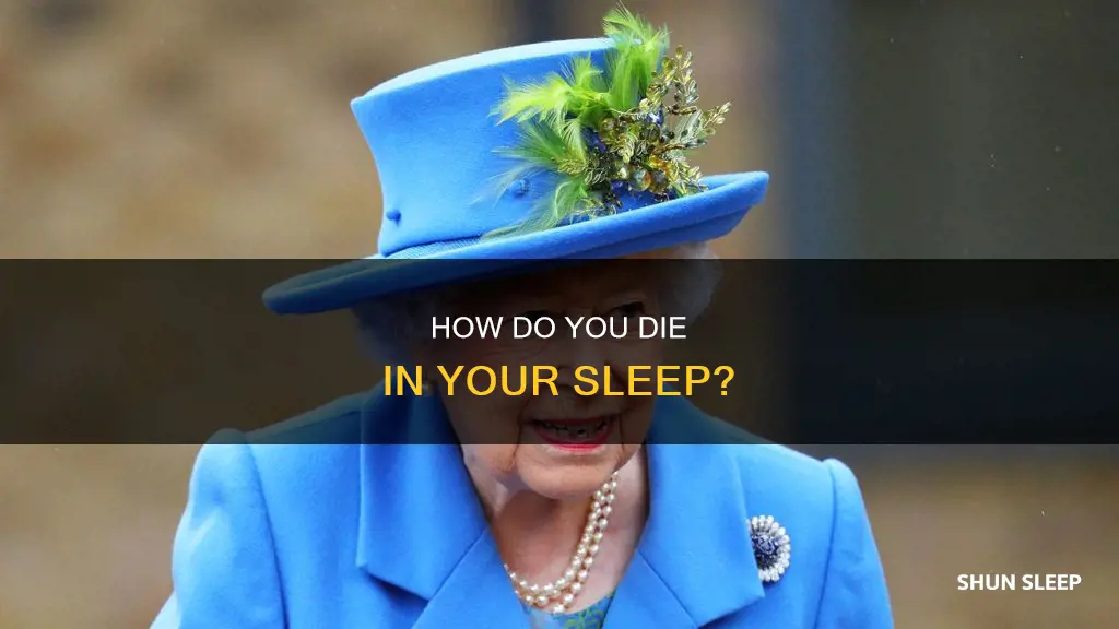 what does die in your sleep mean