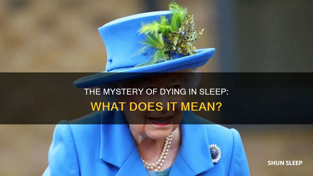 what does died in his sleep mean