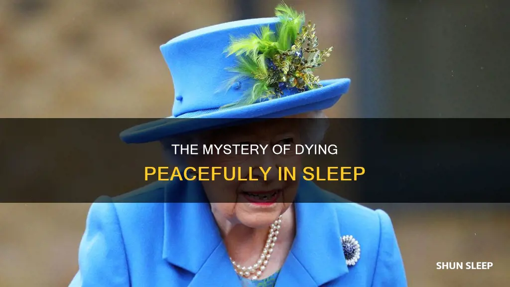 what does died peacefully in sleep mean