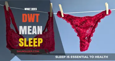Dive into Sleep: DWT Explained