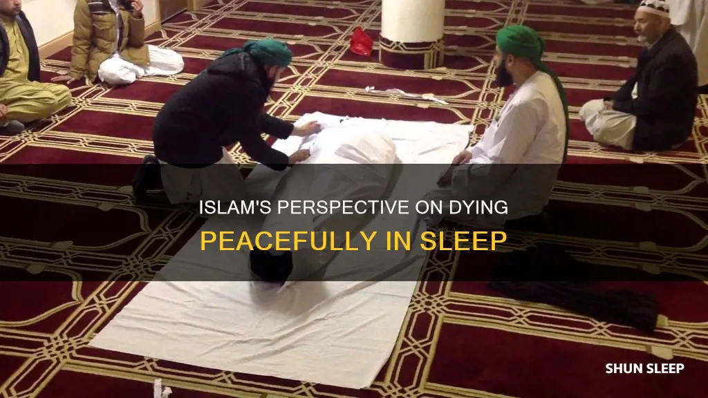 what does dying in your sleep mean in islam