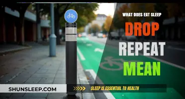 Eat, Sleep, Drop, Repeat: A Gamer's Life
