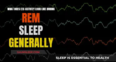 EEG Activity During REM Sleep: A Visual Guide