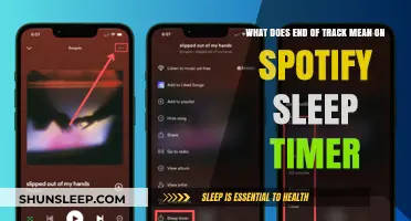 Spotify Sleep Timer: What Does 'End of Track' Mean?