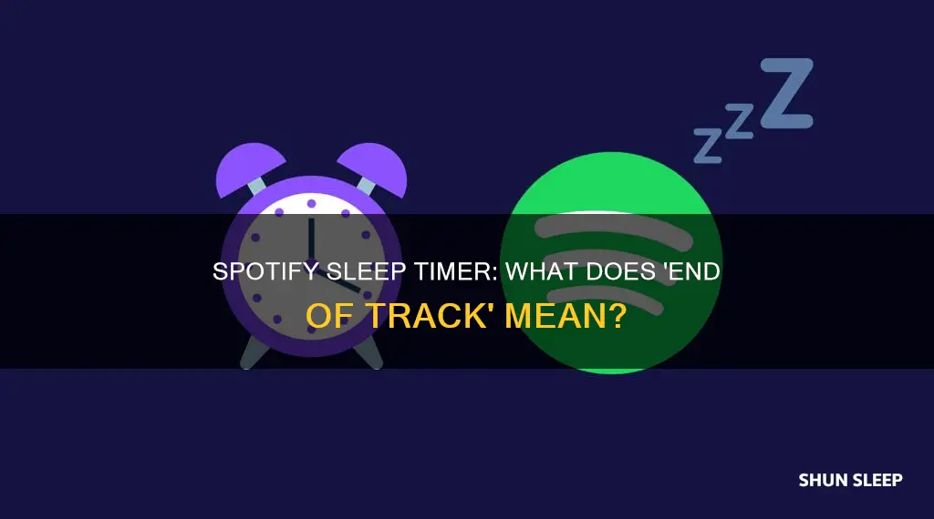 what does end of track mean on spotify sleep timer