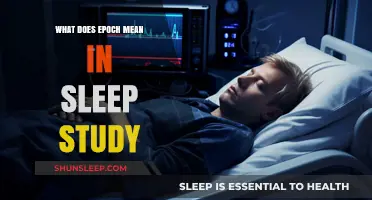 Understanding Epochs: Sleep Study Basics