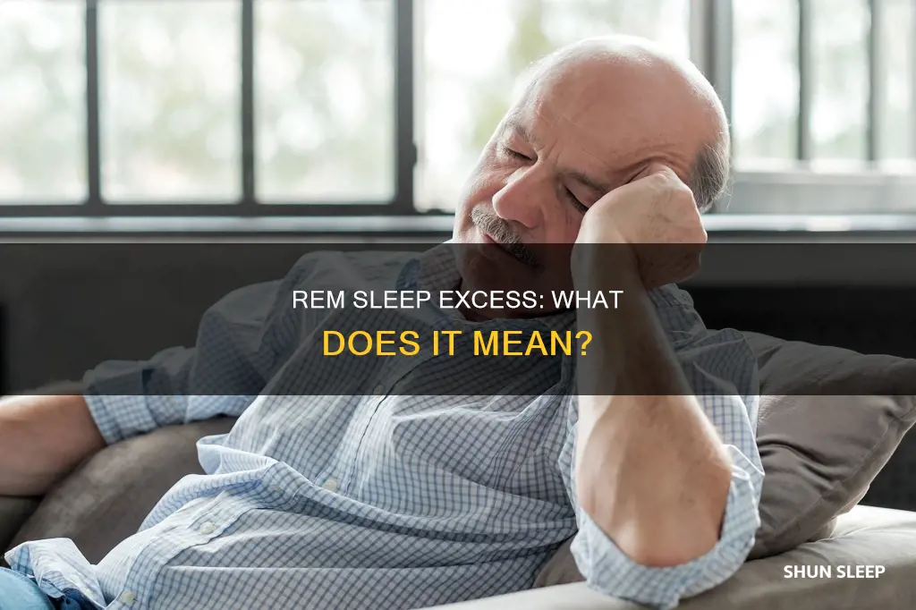 what does excessive rem sleep mean