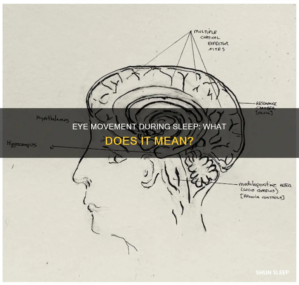 what does eye movement mean in sleep