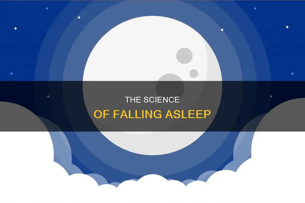 what does falling in sleep mean