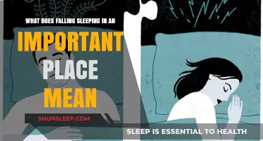 Sleep: Unconscious Action or Conscious Decision?