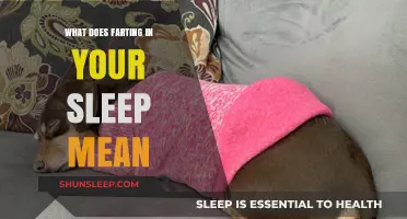 Farting in Your Sleep: What Does It Mean?