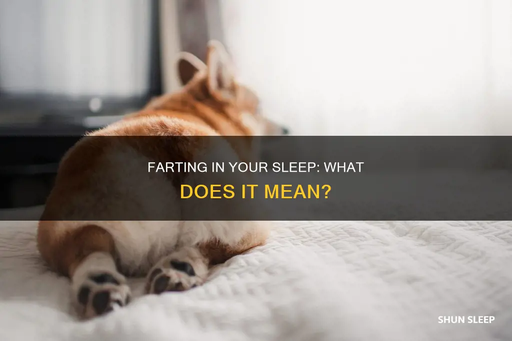 what does farting in your sleep mean
