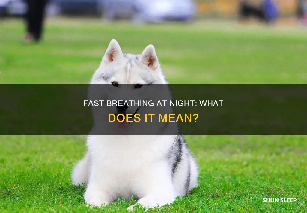 what does fast breathing while sleeping mean