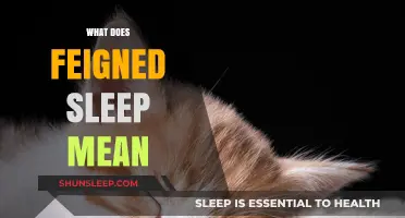 Understanding Feigned Sleep: Its Meaning and Implications