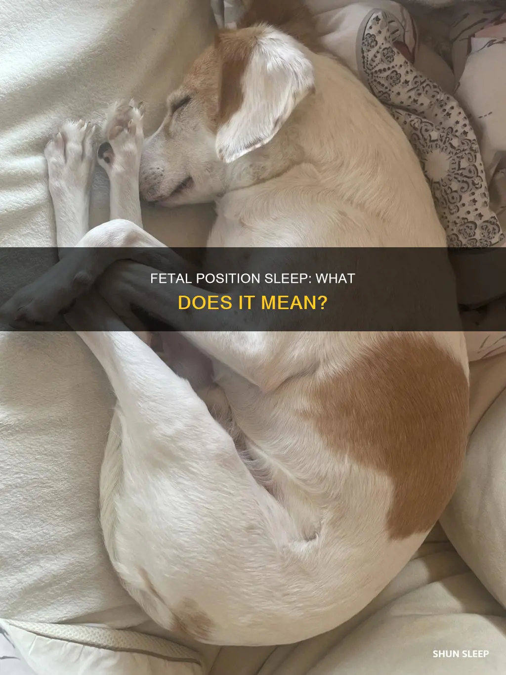 what does fetal position sleeping mean