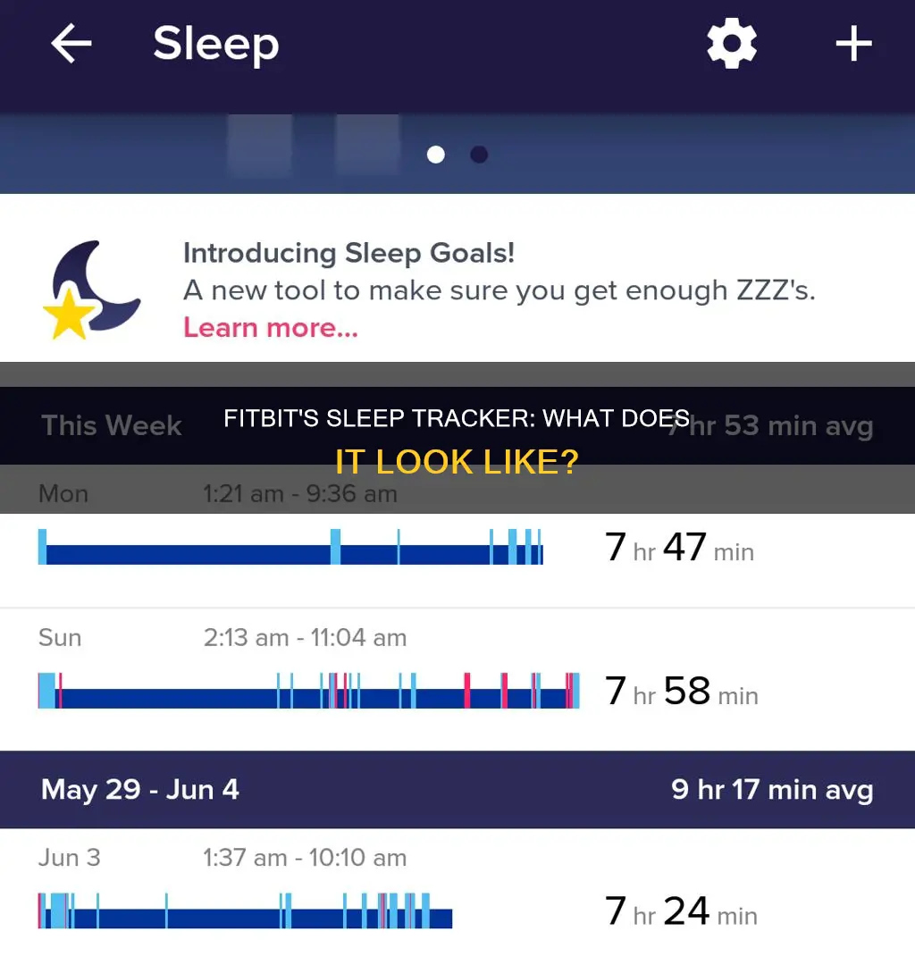 what does fitbit sleep tracker look like