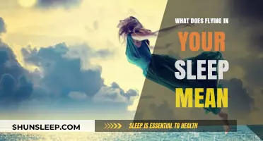 Dreaming of Flight: Soaring Through Sleep