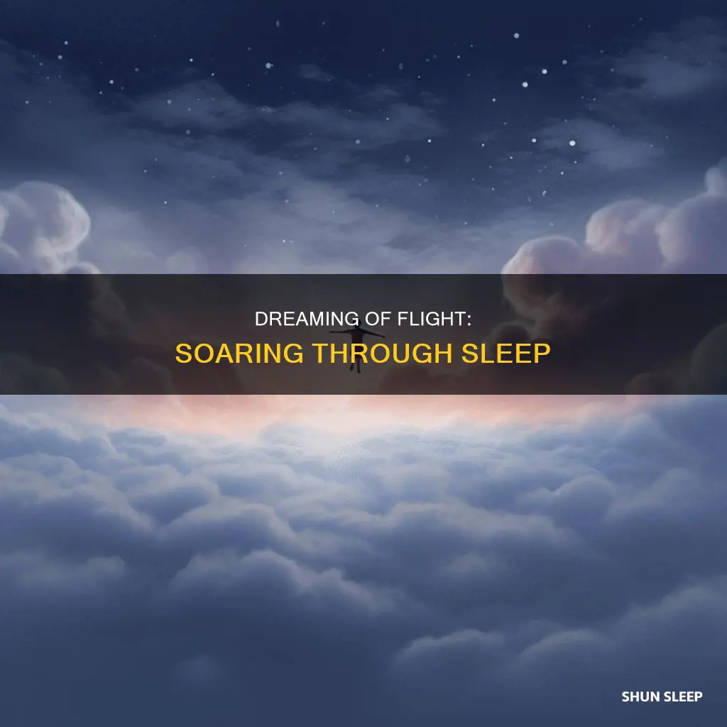 what does flying in your sleep mean