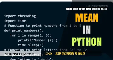Understanding Python's 'time.sleep()' Function