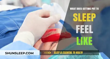 Understanding the Experience: What Does Getting Put to Sleep Feel Like?