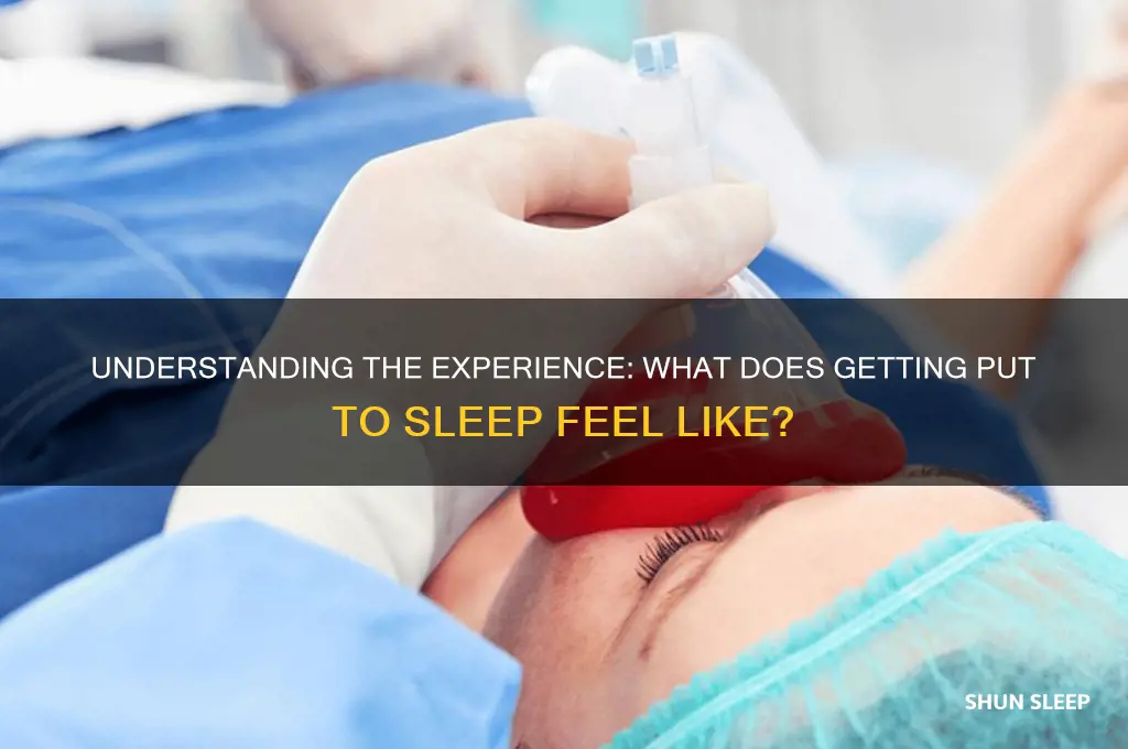 what does getting put to sleep feel like
