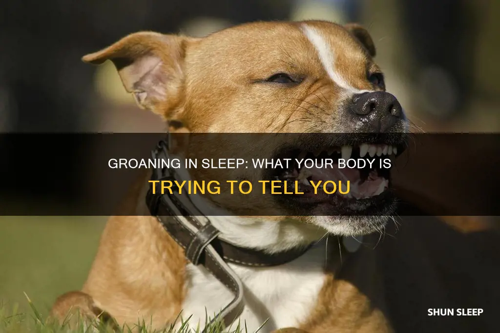 what does groaning in sleep mean