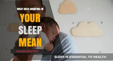 Grunting in Sleep: What Your Body is Trying to Tell You