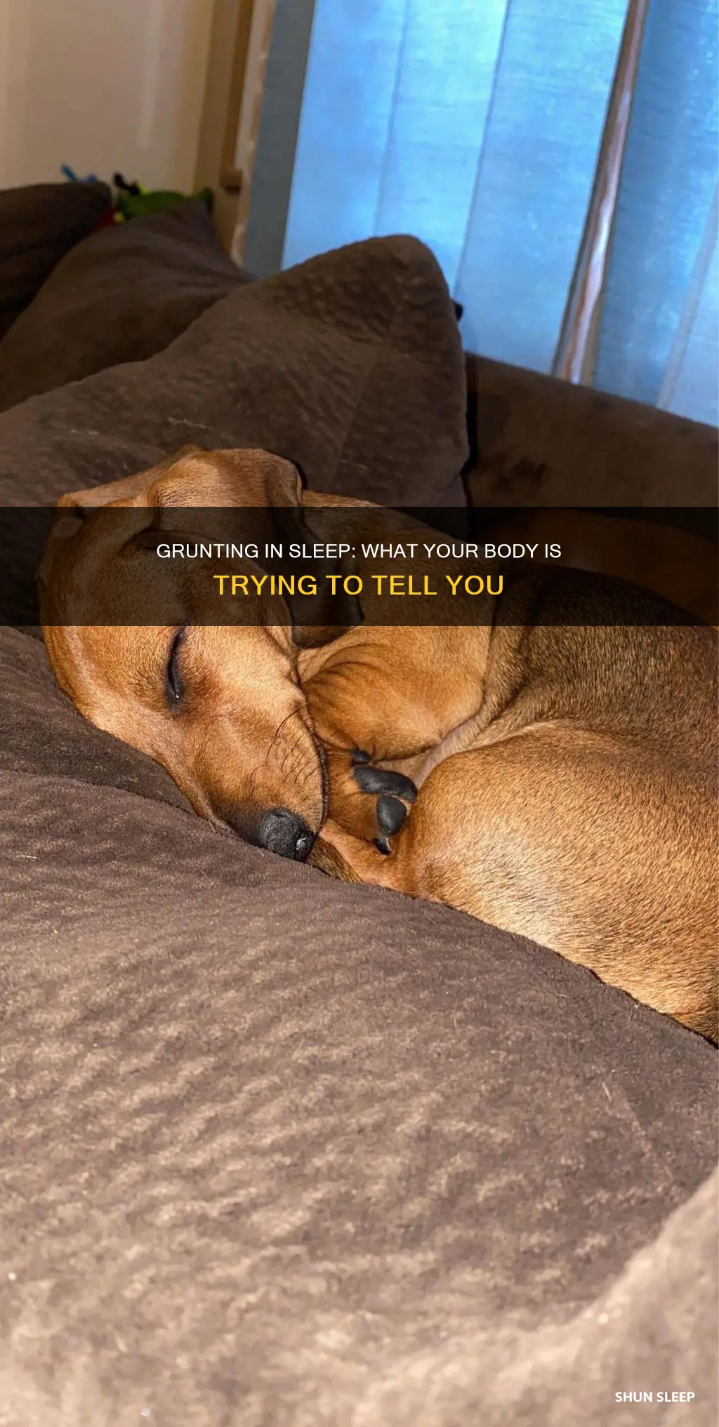 what does grunting in your sleep mean
