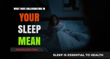 Dreaming or Disordered? Hallucinations in Sleep Explained