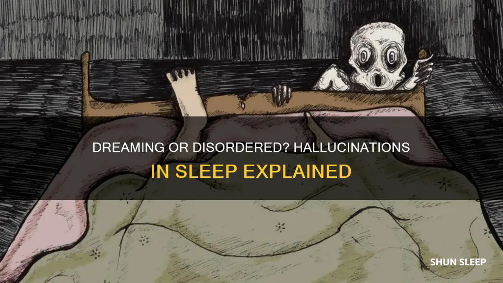 what does hallucinating in your sleep mean