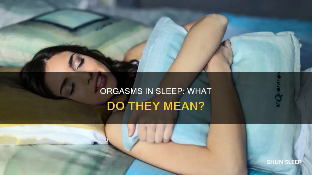 what does having a orgasm in sleep mean