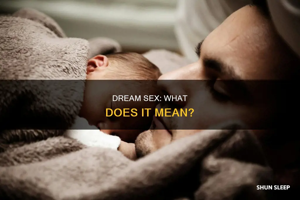 what does having sex in your sleep mean
