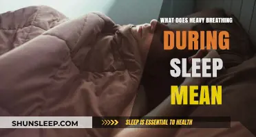 Heavy Breathing During Sleep: What Does It Mean?