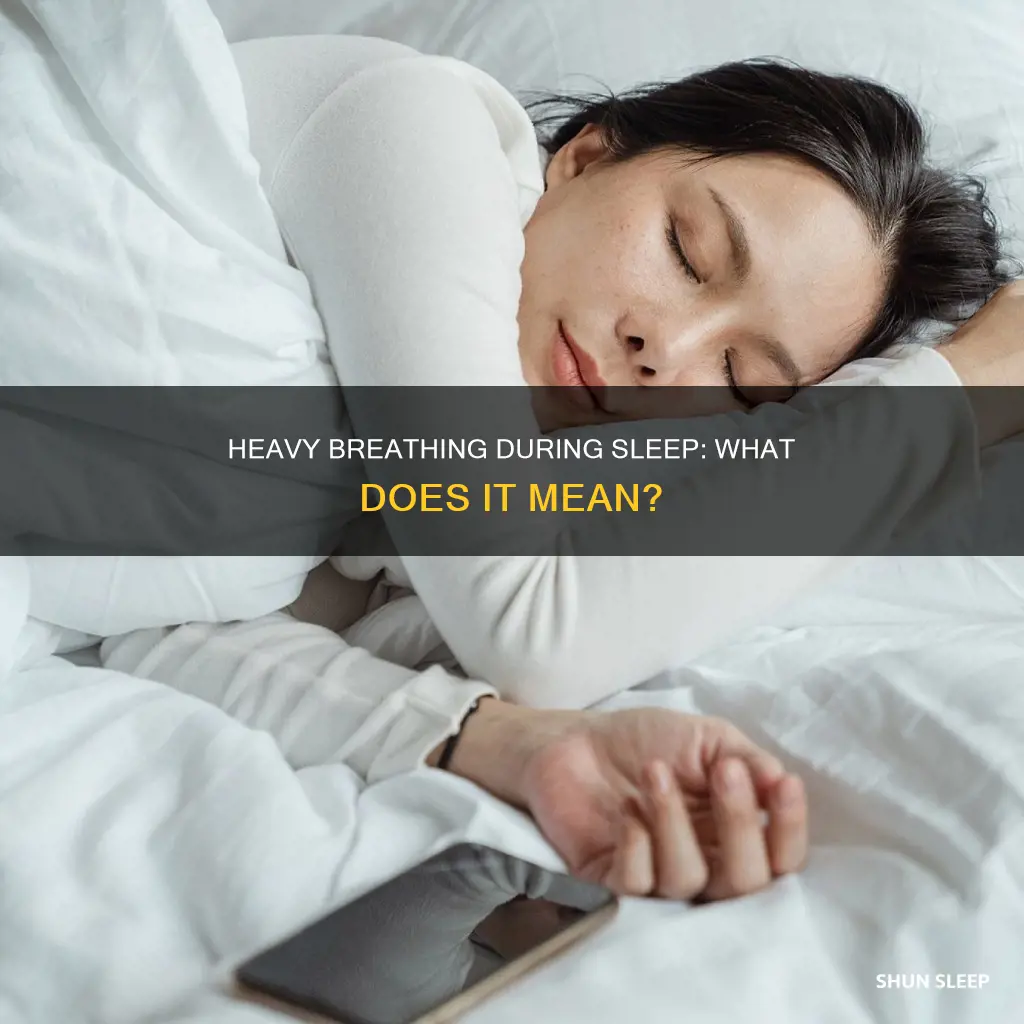 what does heavy breathing during sleep mean
