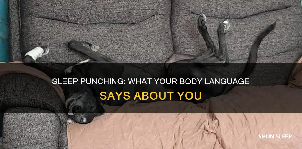 what does hitting things in your sleep mean